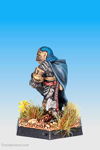 Paladin (FA10)