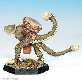 C24 Troglodytes - Drummer