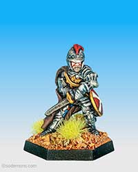 FTF75 Bearded Paladin with Sword