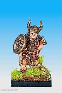 Chieftain with Shield & Sword