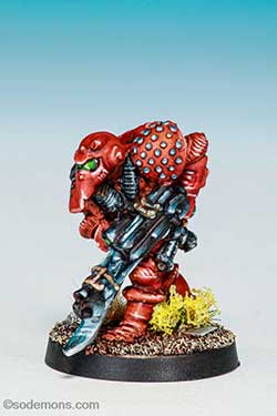 LE2 Imperial Space Marine