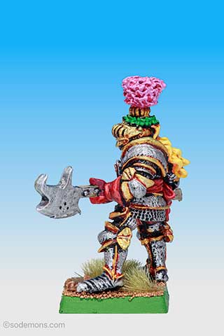 MM65/2 Reiksgard Knight 2