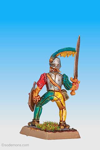 Mercenary Captain