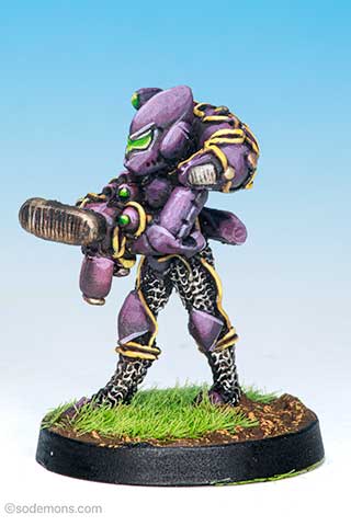 Dark Elf Space Trooper