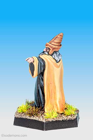 Wizard with Rod