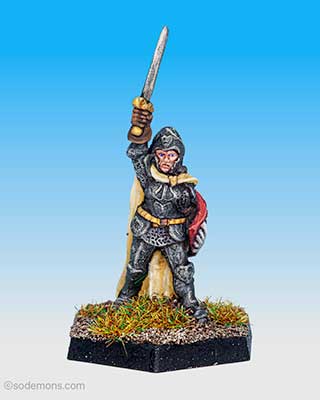Female Fighter with Sword (FF85a)